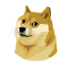 DOGE